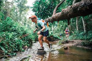 BIB: 
                            <button type="button" onclick="openModal(25368590)" class="btn btn-primary btn-sm float-right btn-popup" data-toggle="modal" data-target=".modal-high-quality">
                        <i class="fas fa-shopping-cart"></i> Add to Cart
                    </button>
                                            <button type="button" onclick="isThisMe(25368590, true)" class="btn btn-success btn-sm float-right btn-popup btn-isme hidden" data-toggle="tooltip" data-placement="bottom" title="นี่คือรูปของคุณใช่ไหม คลิกที่นี่เพื่อเอาเข้าอัลบั้ม">
                        <i class="fas fa-plus"></i> Add to album
                    </button>
                    <button type="button" onclick="isThisMe(25368590, false)" class="btn btn-warning btn-sm float-right btn-popup btn-isnotme hidden">
                        <i class="fas fa-ban"></i> Remove from album
                    </button>